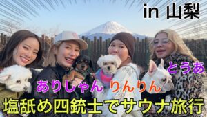 yt-1514-01606389616f81f69f7e48ecdbcee376